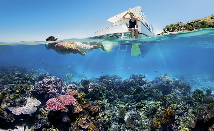 Big Red Group supports campaign to boost Cairns and Great Barrier Reef tourism economy