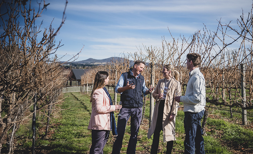 Lunch with Wine Pairing at Swinging Bridge Winery