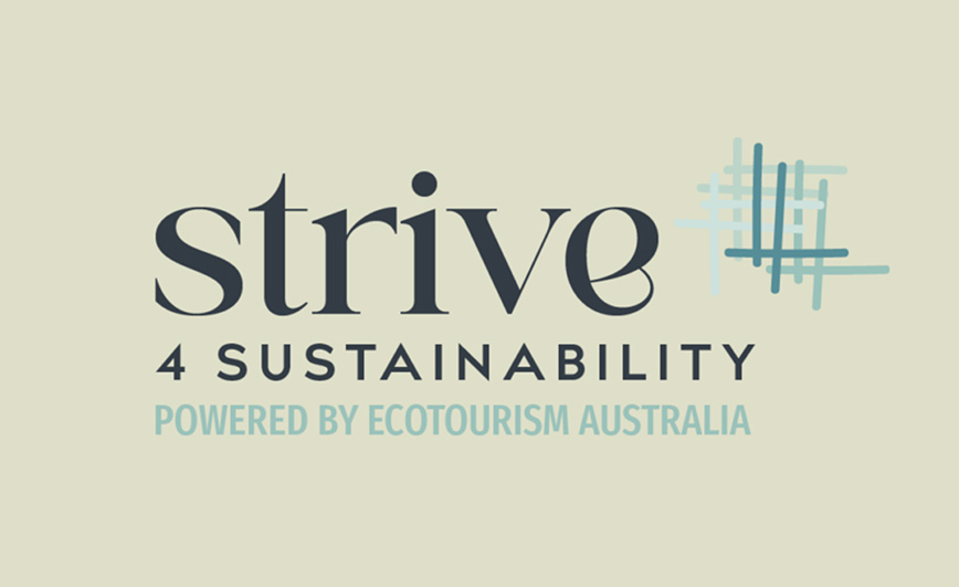 Strive for Sustainability - Scorecard