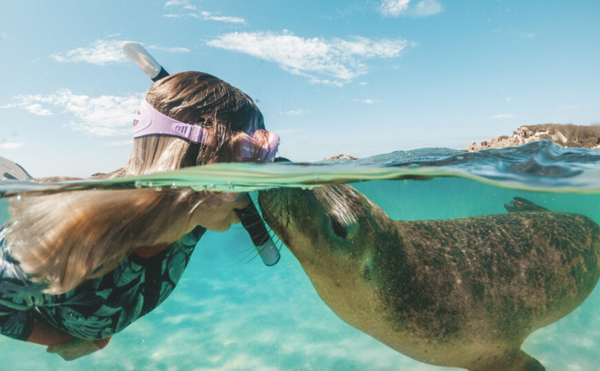 Snorkelling Experiences - Australia