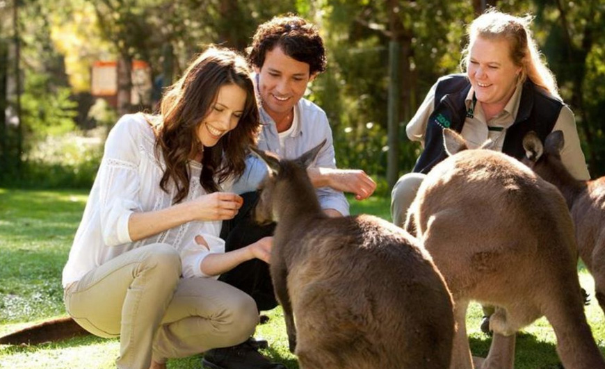 Wildlife, Wellbeing and Wine Experience in the Yarra Valley