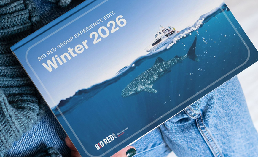 Big Red Group Experience Edit: Winter 2026